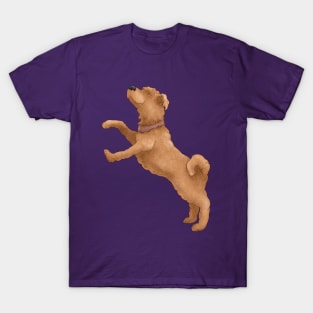Curly dog breed wheat terrier. T-Shirt